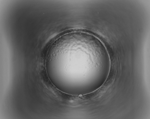 X0000112071255200908041227