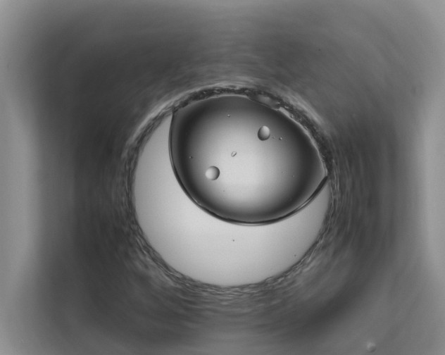 X0000112071256200908041227