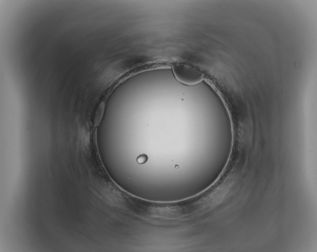 X0000112071257200908041227