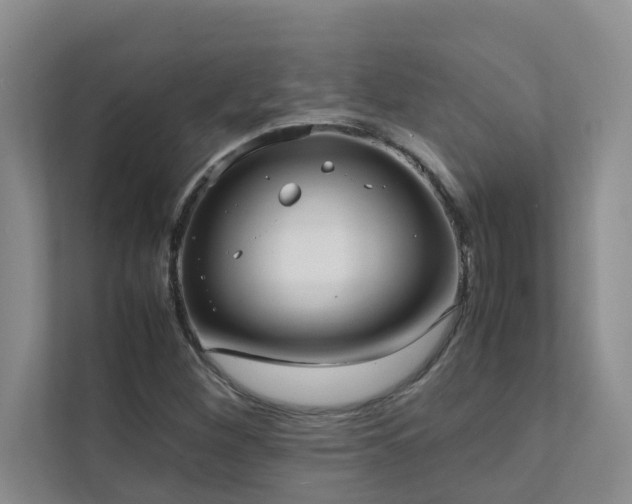 X0000112071260200908041227