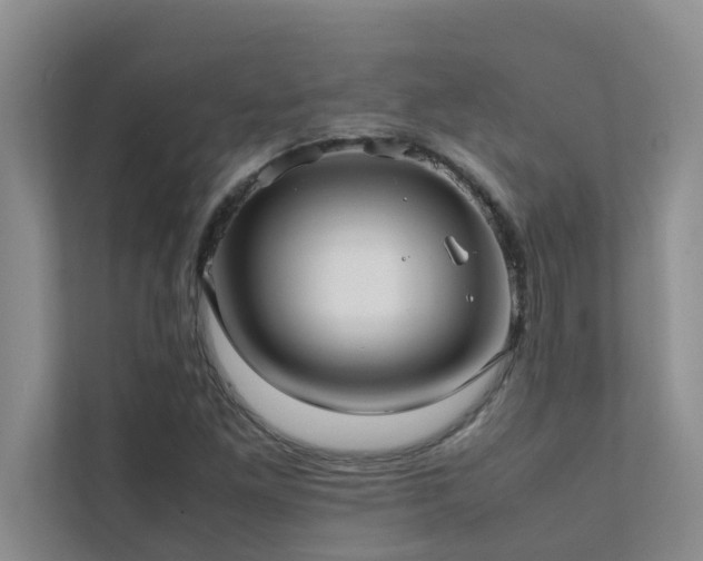 X0000112071261200908041227