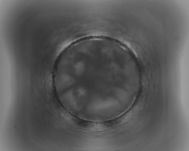 X0000112071263200908041227