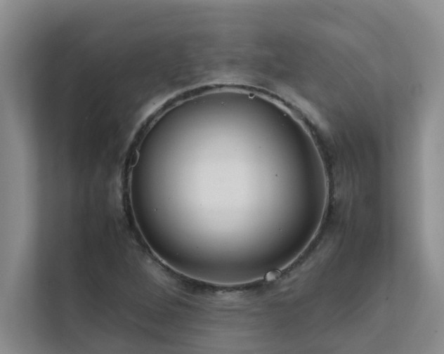 X0000112071264200908041227