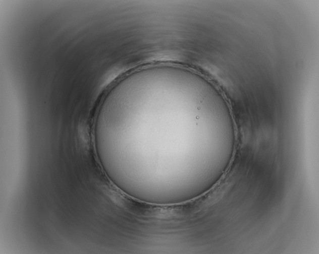 X0000112071266200908041227