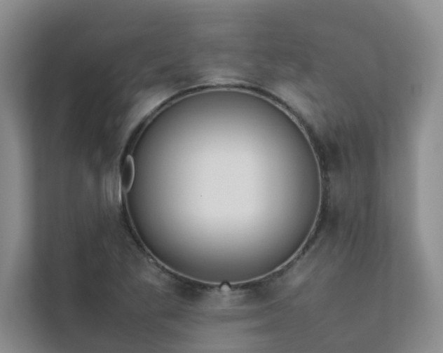 X0000112071269200908041227