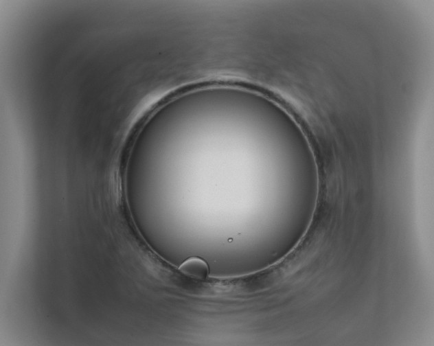 X0000112071271200908041227