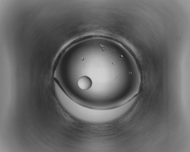 X0000112071272200908041227
