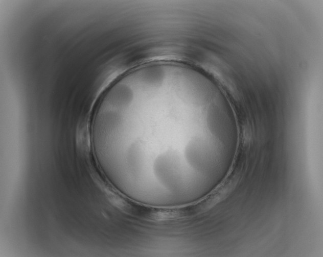 X0000112071274200908041227