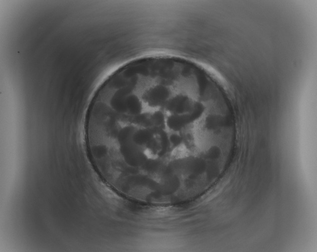 X0000112071279200908041227