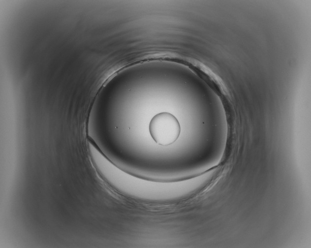 X0000112071281200908041226