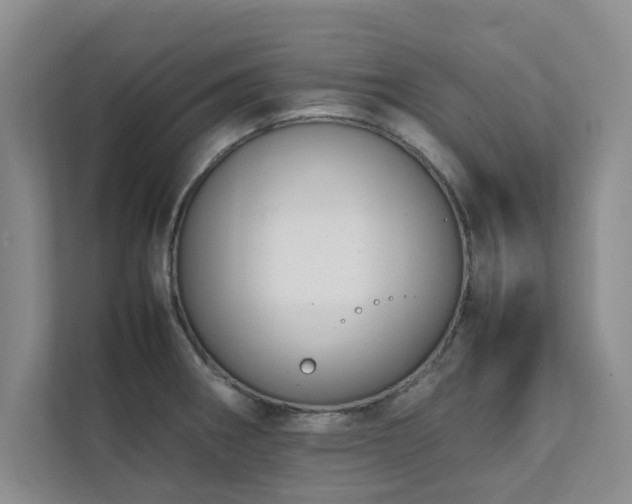 X0000112071282200908041226