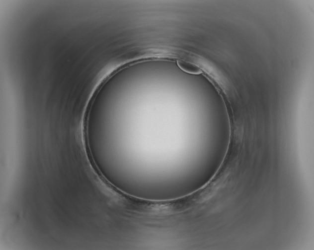 X0000112071283200908041226