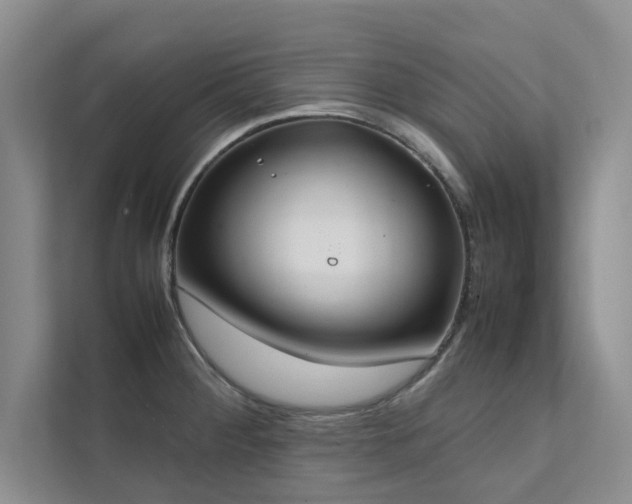 X0000112071284200908041226