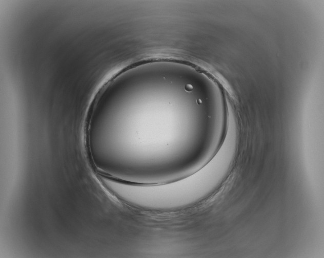 X0000112071285200908041226