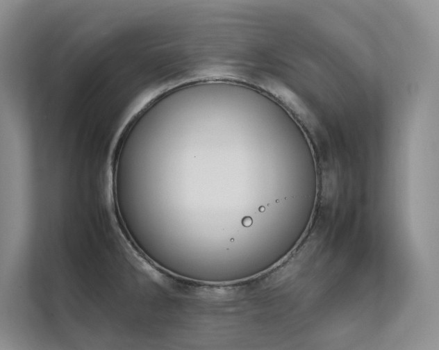 X0000112071286200908041226