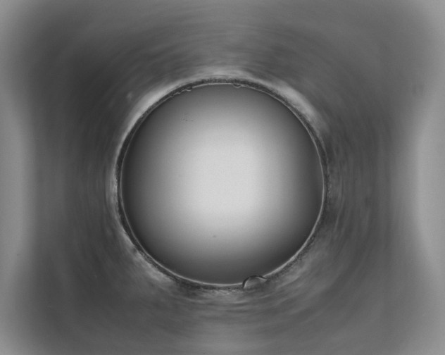 X0000112071287200908041226