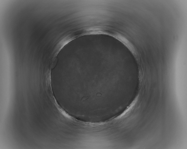 X0000112071289200908041226