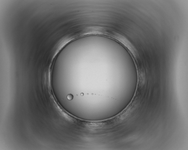 X0000112071290200908041226