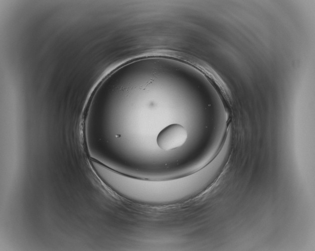 X0000112071292200908041226