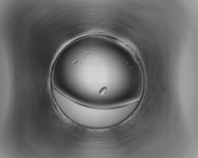 X0000112071296200908041226