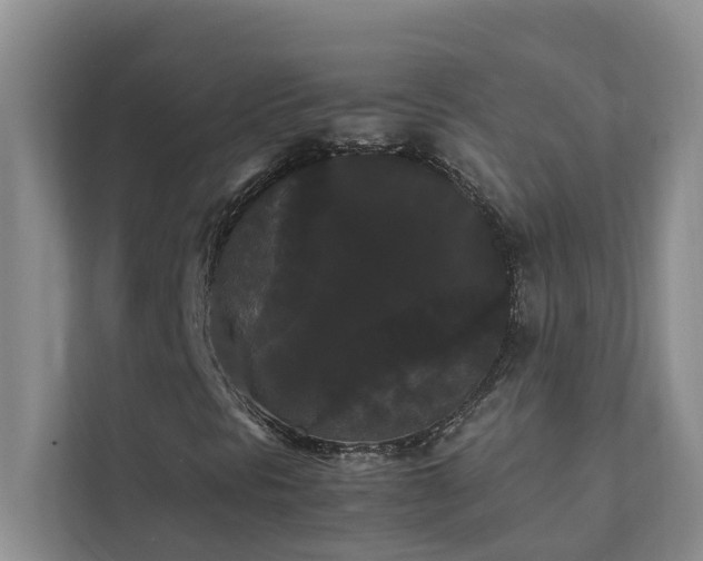 X0000112071297200908041226