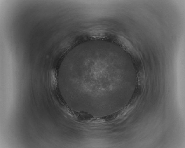 X0000112071298200908041226
