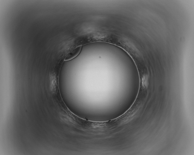 X0000112071299200908041226