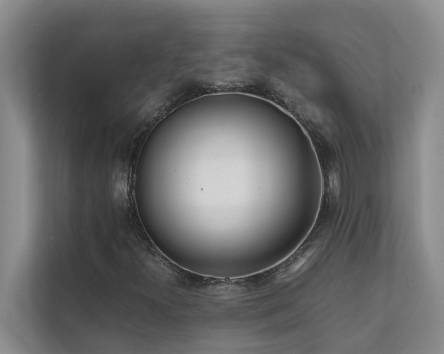 X0000112071300200908041226