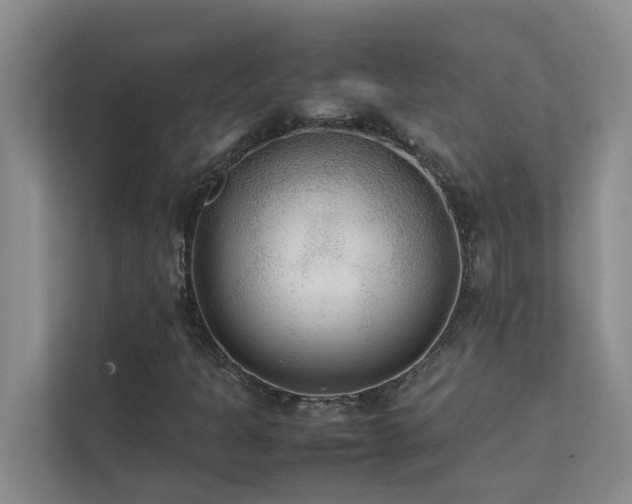 X0000112071301200908041226