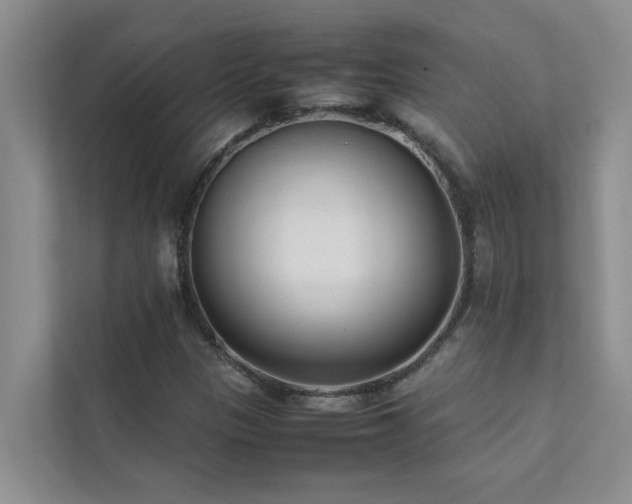 X0000112071305200908041226