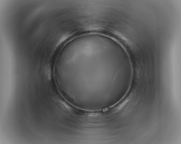 X0000112071306200908041226