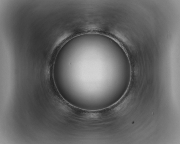 X0000112071309200908041226