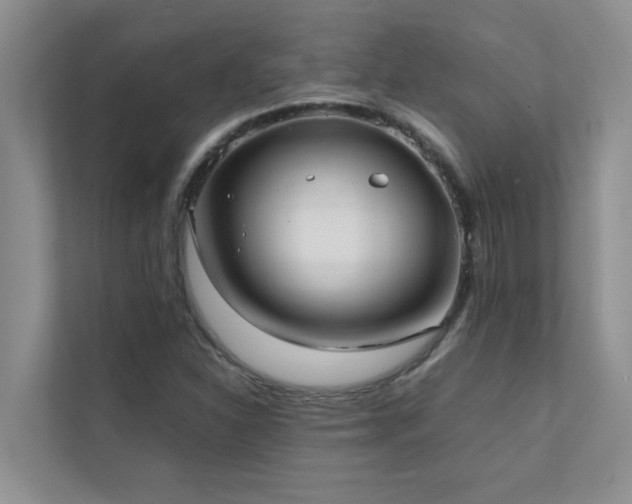X0000112071310200908041226