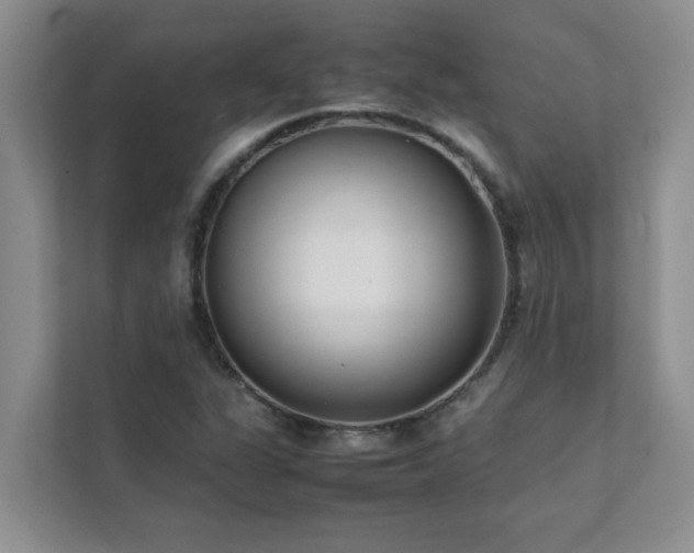 X0000112071311200908041226