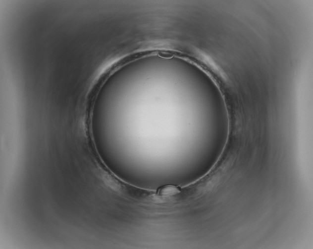 X0000112071312200908041226