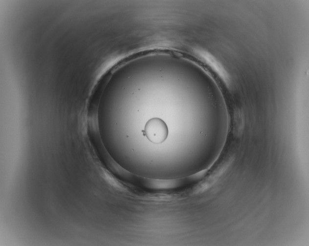 X0000112071316200908041226