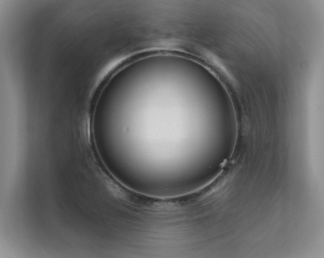 X0000112071320200908041226