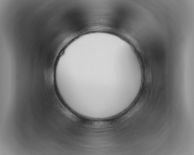 X0000112071322200908041226