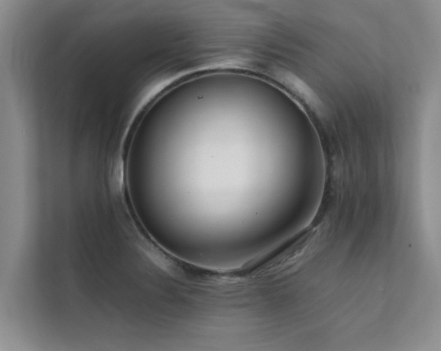 X0000112071324200908041226
