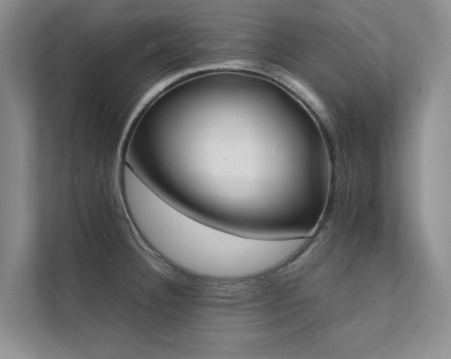 X0000112071332200908041226