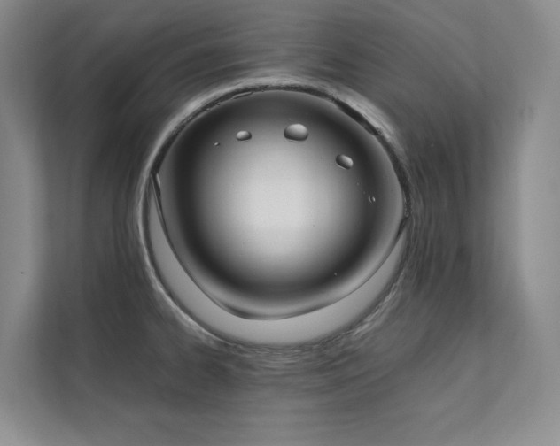 X0000112071334200908041226