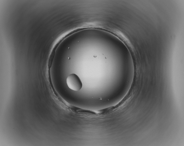 X0000112071336200908041226