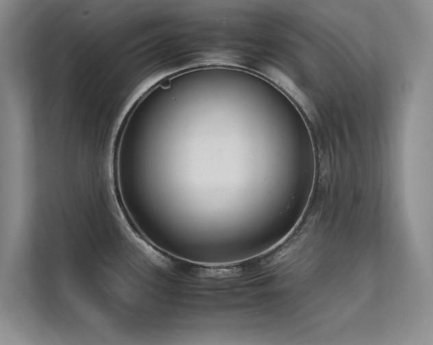 X0000112071339200908041226