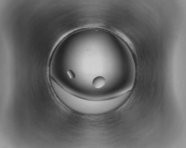 X0000112071340200908041226