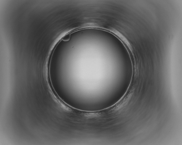 X0000112071341200908041226