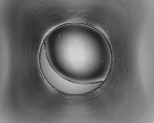 X0000112071344200908041226