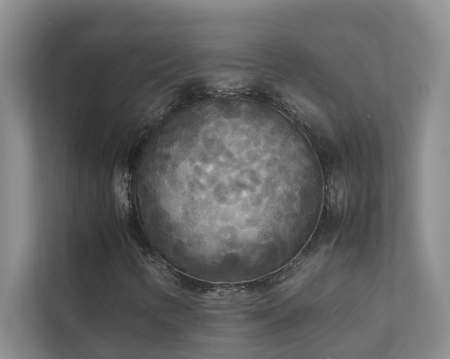 X0000112071346200908041226