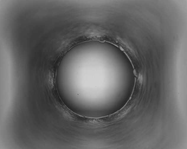 X0000112071348200908041226