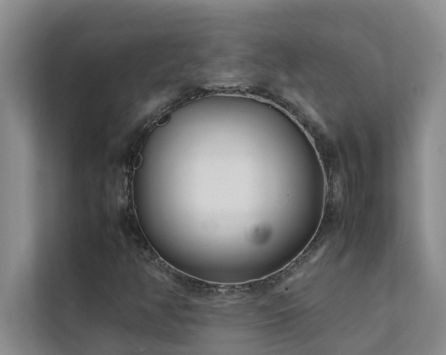 X0000112071350200908041226