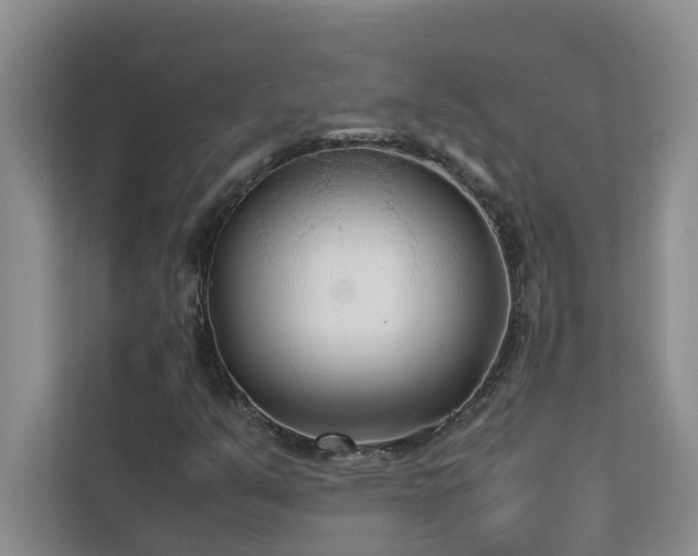 X0000112071351200908041226